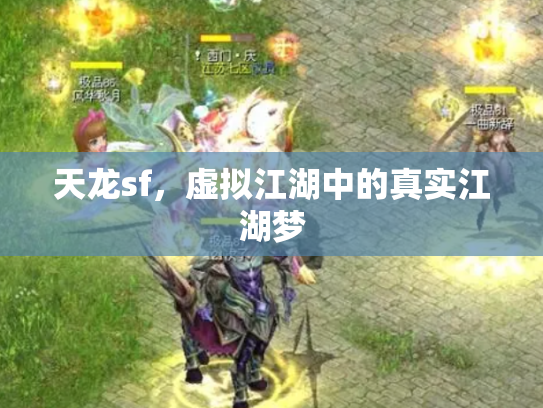 天龙sf，虚拟江湖中的真实江湖梦
