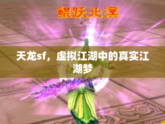 天龙sf，虚拟江湖中的真实江湖梦