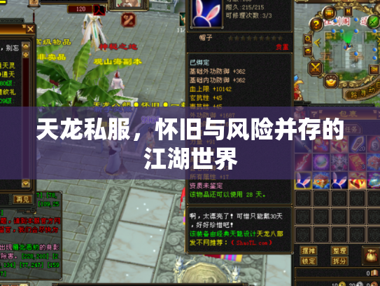天龙私服，怀旧与风险并存的江湖世界