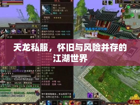 天龙私服，怀旧与风险并存的江湖世界