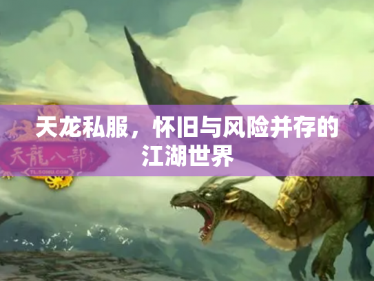 天龙私服，怀旧与风险并存的江湖世界