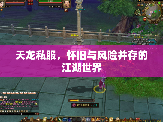 天龙私服，怀旧与风险并存的江湖世界