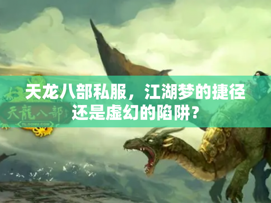 天龙八部私服，江湖梦的捷径还是虚幻的陷阱？