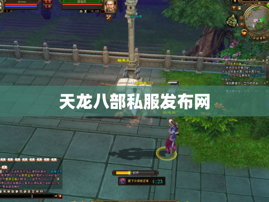 天龙八部私服发布网