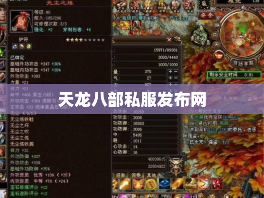 天龙八部私服发布网