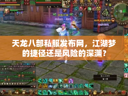 天龙八部私服发布网，江湖梦的捷径还是风险的深渊？