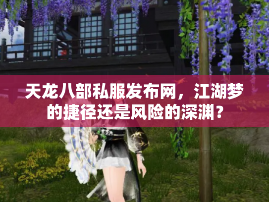 天龙八部私服发布网，江湖梦的捷径还是风险的深渊？