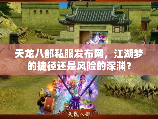 天龙八部私服发布网，江湖梦的捷径还是风险的深渊？
