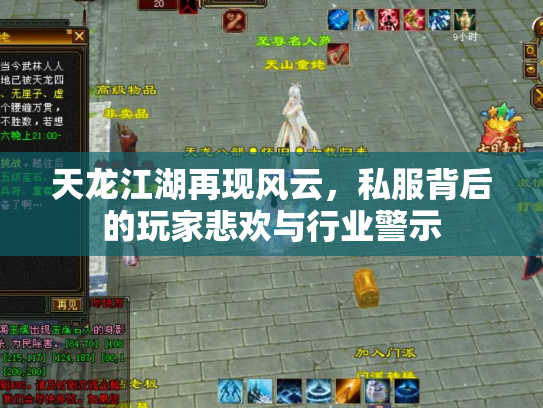 天龙江湖再现风云，私服背后的玩家悲欢与行业警示