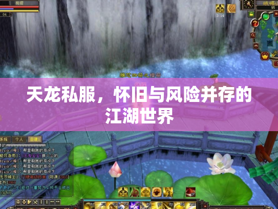 天龙私服，怀旧与风险并存的江湖世界