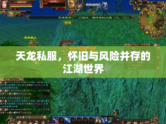 天龙私服，怀旧与风险并存的江湖世界