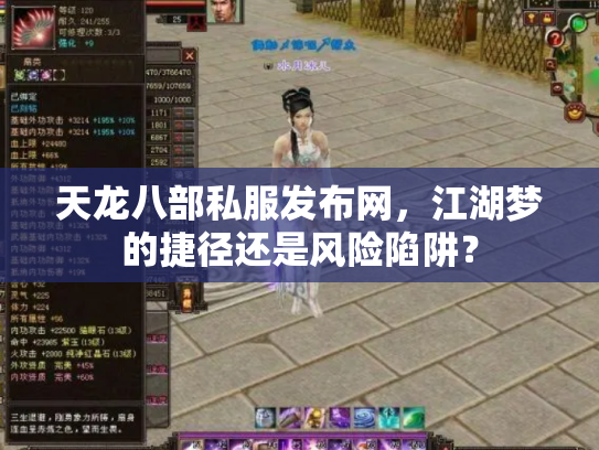 天龙八部私服发布网，江湖梦的捷径还是风险陷阱？