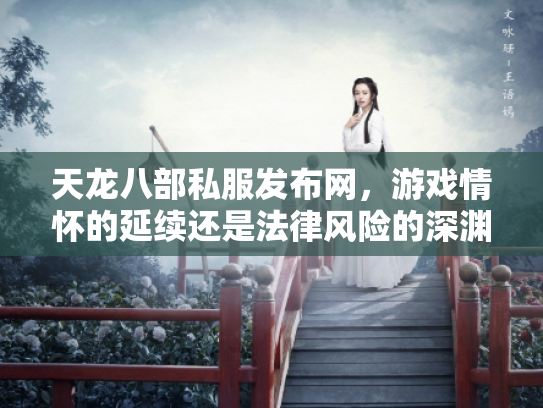 天龙八部私服发布网，游戏情怀的延续还是法律风险的深渊？