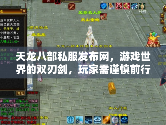 天龙八部私服发布网，游戏世界的双刃剑，玩家需谨慎前行
