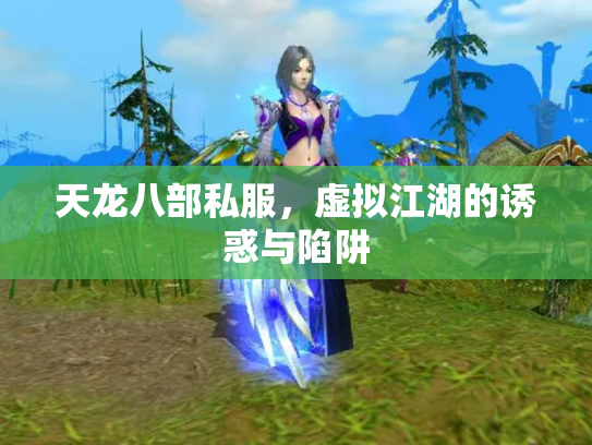 天龙八部私服，虚拟江湖的诱惑与陷阱