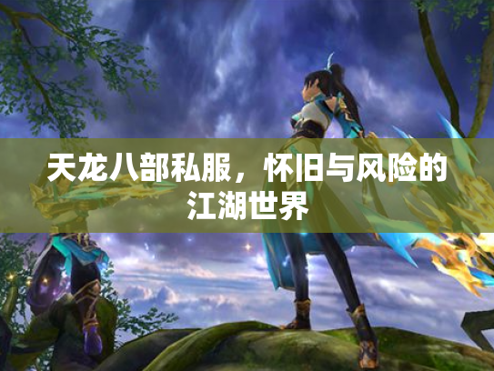 天龙八部私服，怀旧与风险的江湖世界