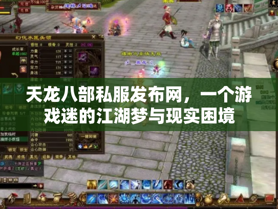 天龙八部私服发布网，一个游戏迷的江湖梦与现实困境