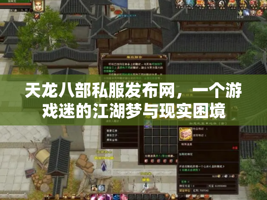 天龙八部私服发布网，一个游戏迷的江湖梦与现实困境