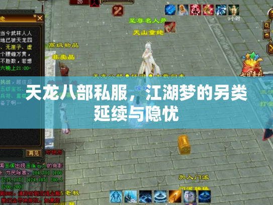 天龙八部私服，江湖梦的另类延续与隐忧