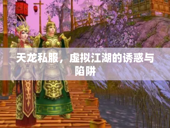 天龙私服，虚拟江湖的诱惑与陷阱
