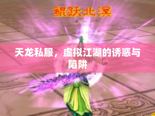 天龙私服，虚拟江湖的诱惑与陷阱