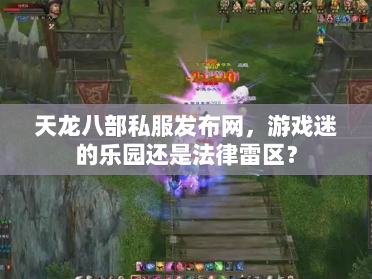 天龙八部私服发布网，游戏迷的乐园还是法律雷区？