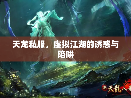 天龙私服，虚拟江湖的诱惑与陷阱