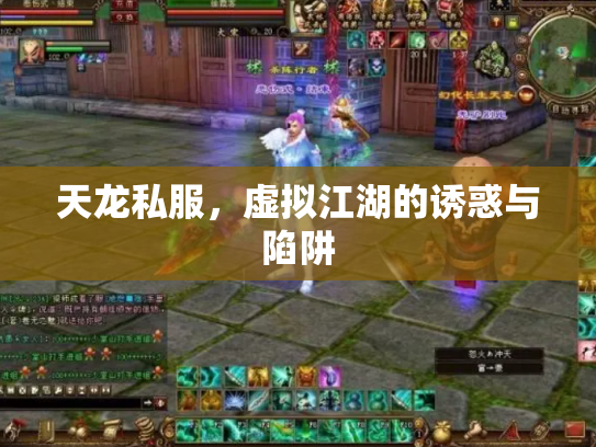 天龙私服，虚拟江湖的诱惑与陷阱