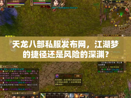天龙八部私服发布网，江湖梦的捷径还是风险的深渊？