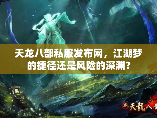 天龙八部私服发布网，江湖梦的捷径还是风险的深渊？