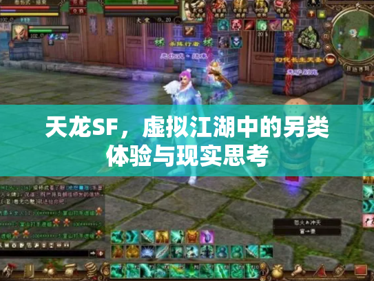 天龙SF，虚拟江湖中的另类体验与现实思考