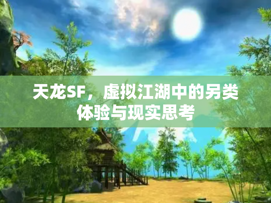 天龙SF，虚拟江湖中的另类体验与现实思考