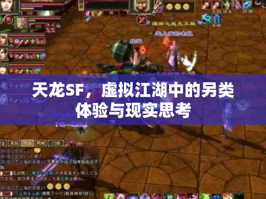 天龙SF，虚拟江湖中的另类体验与现实思考