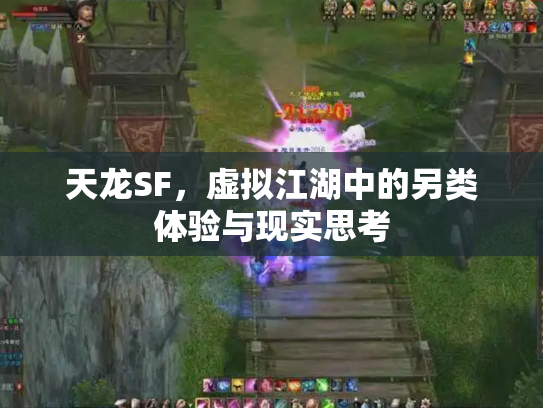 天龙SF，虚拟江湖中的另类体验与现实思考