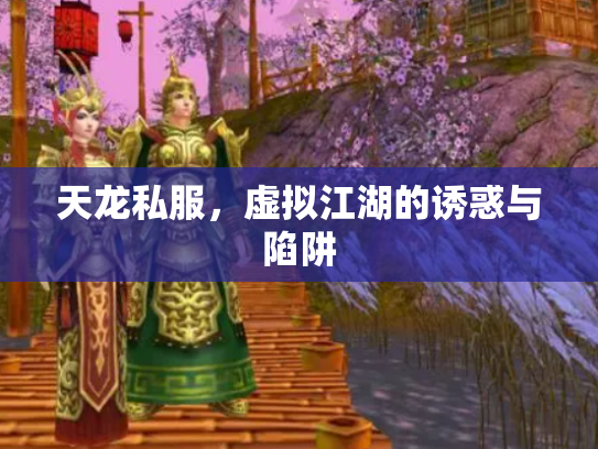 天龙私服，虚拟江湖的诱惑与陷阱