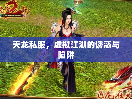 天龙私服，虚拟江湖的诱惑与陷阱