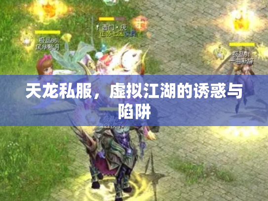 天龙私服，虚拟江湖的诱惑与陷阱