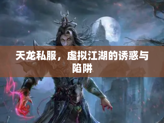 天龙私服，虚拟江湖的诱惑与陷阱