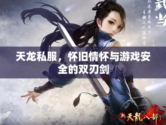 天龙私服，怀旧情怀与游戏安全的双刃剑