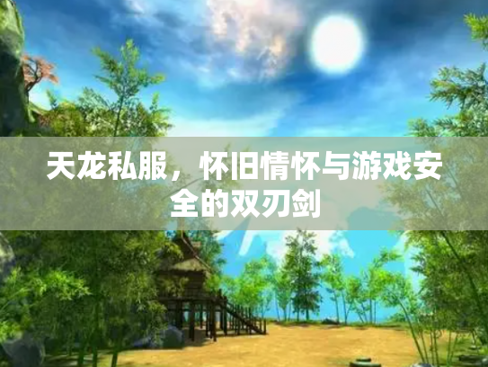 天龙私服，怀旧情怀与游戏安全的双刃剑
