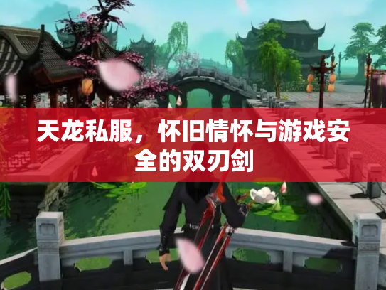 天龙私服，怀旧情怀与游戏安全的双刃剑
