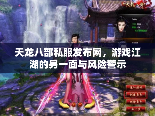 天龙八部私服发布网，游戏江湖的另一面与风险警示