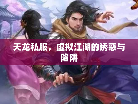 天龙私服，虚拟江湖的诱惑与陷阱