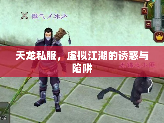 天龙私服，虚拟江湖的诱惑与陷阱