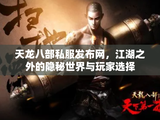 天龙八部私服发布网，江湖之外的隐秘世界与玩家选择