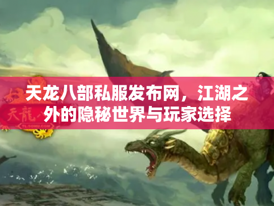 天龙八部私服发布网，江湖之外的隐秘世界与玩家选择