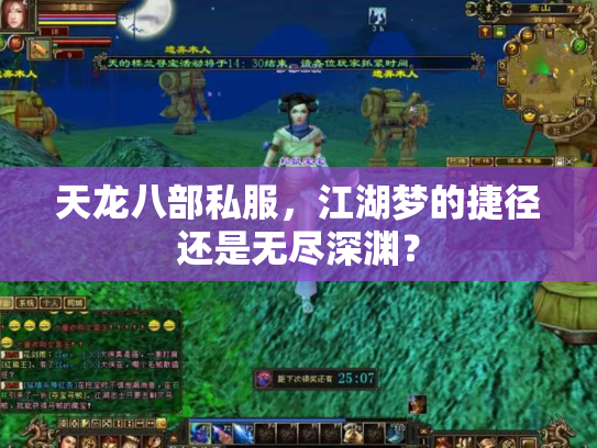 天龙八部私服，江湖梦的捷径还是无尽深渊？