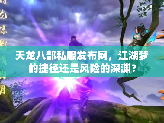 天龙八部私服发布网，江湖梦的捷径还是风险的深渊？