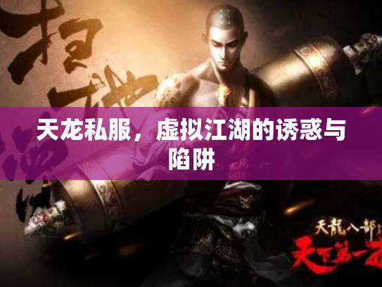 天龙私服，虚拟江湖的诱惑与陷阱