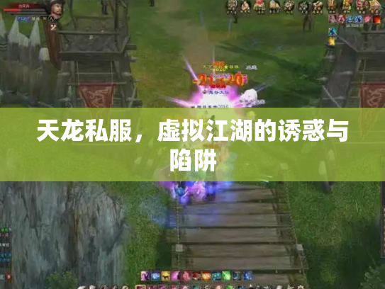 天龙私服，虚拟江湖的诱惑与陷阱